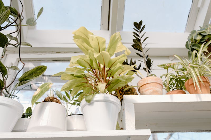 Fleuriste créant un arrangement artisanal